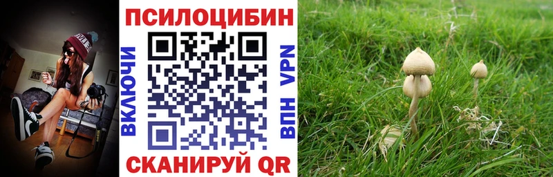 купить   omg как зайти  Псилоцибиновые грибы MAGIC MUSHROOMS  Учалы 